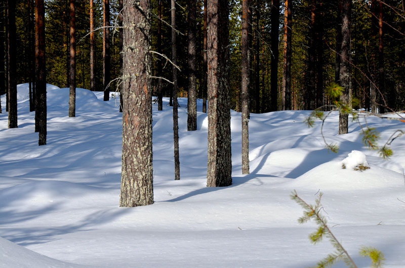 Scandinavie, Suede, Norvege, Finlande